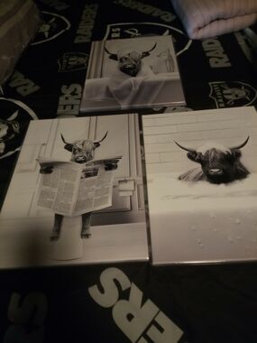 Amazon Black & White Highland Cow Canvas Set